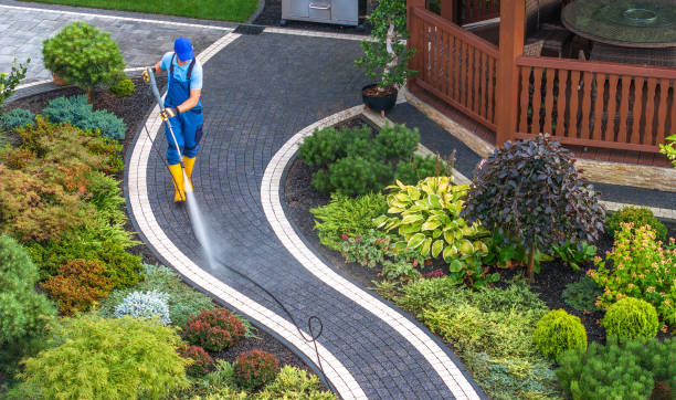Best House Pressure Washing  in Harrisburg, IL
